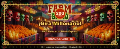 Premium Casino Experience